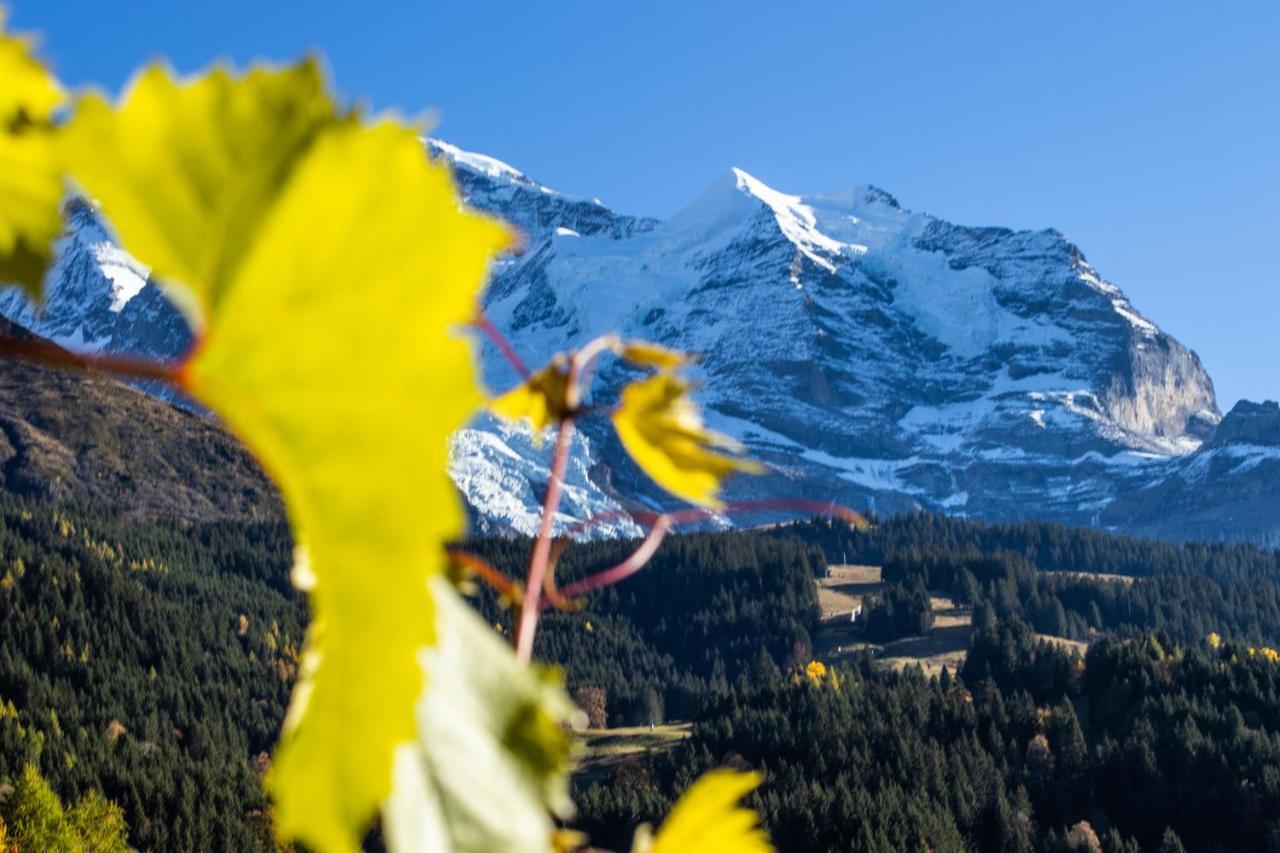 Chalet Aargovia South Wengen Kültér fotó