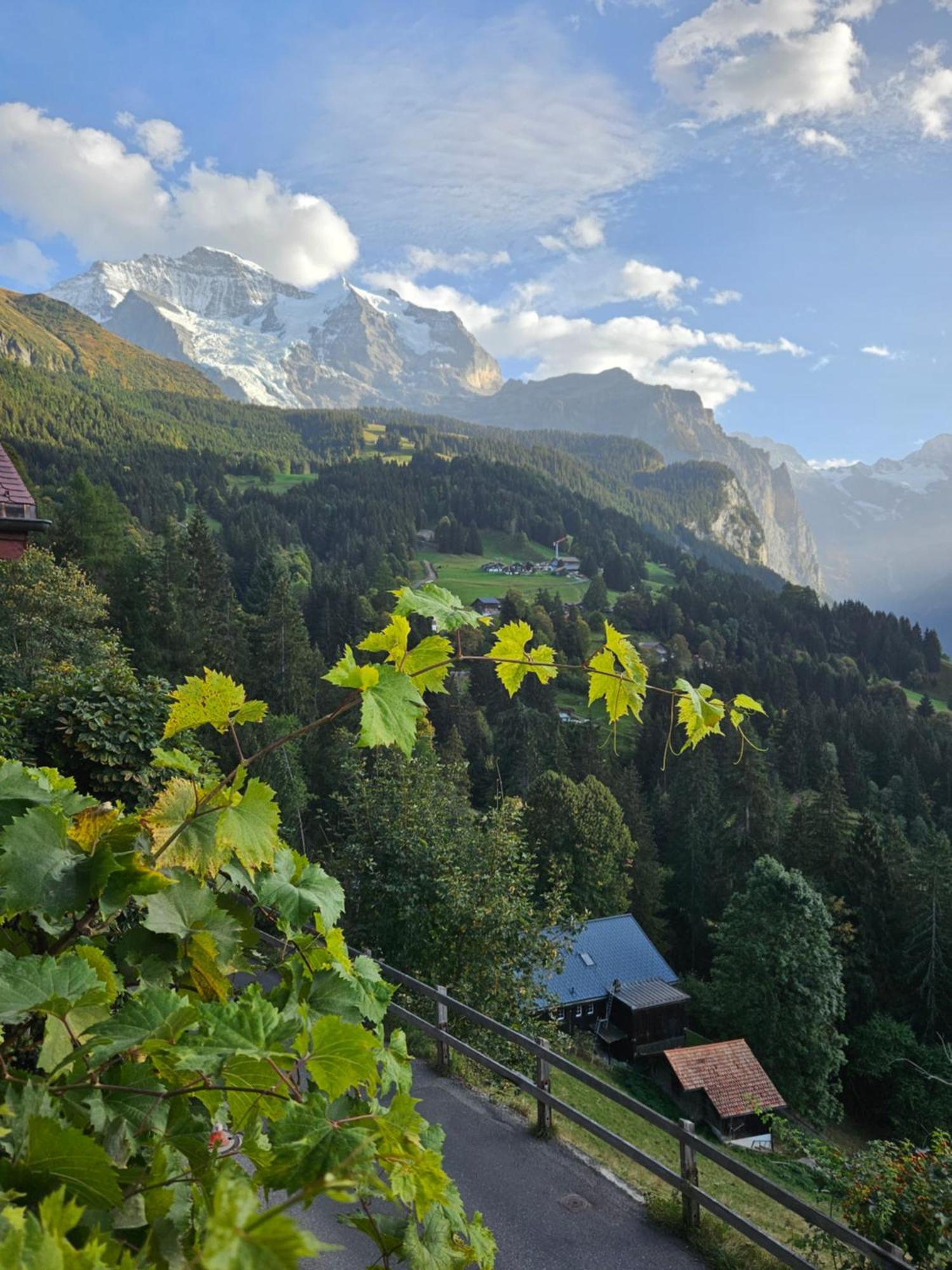 Chalet Aargovia South Wengen Kültér fotó